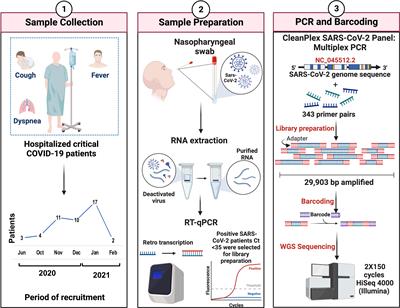 Molecular transition of SARS-CoV-2 from critical patients during the first year of the COVID-19 pandemic in Mexico City